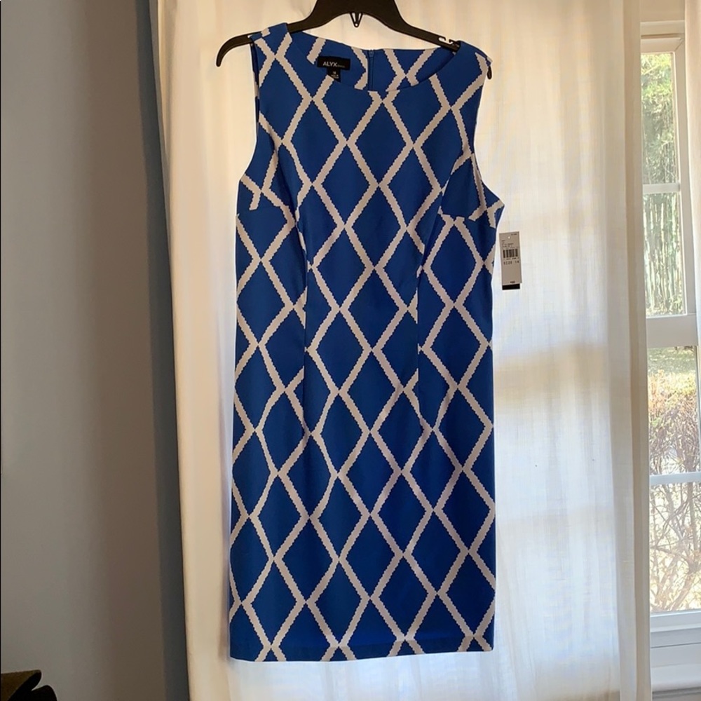 NWT Blue and White Dress